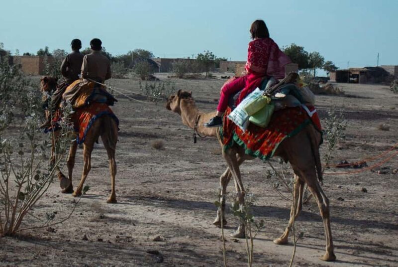 Jaisalmer: Nomadic Overnight Thar Desert & Camel Safari - Dawn in the Desert: Sunrise & Morning Ride