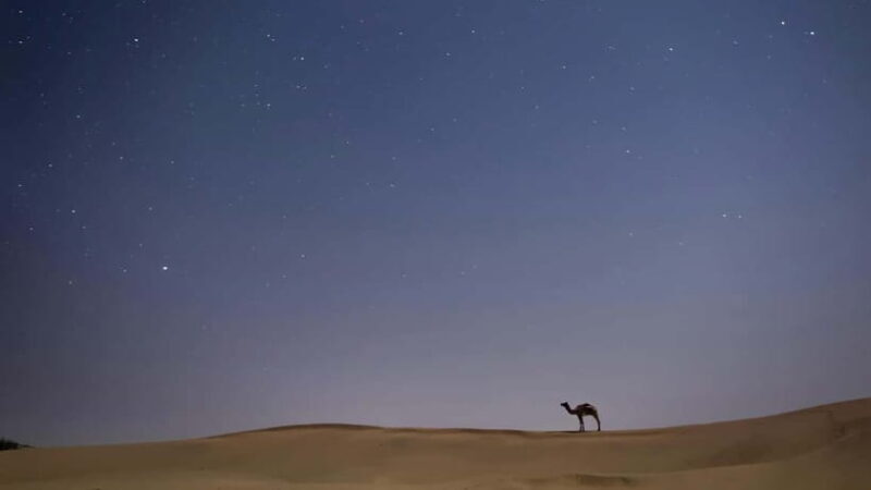 Jaisalmer: Overnight stay under the stars with camel safari - What You Need to Know Before Booking
