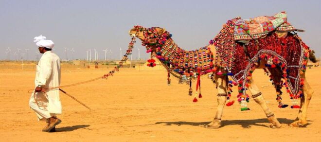 Jaisalmer: Private Full-Day City Sightseeing Guided Tour - Full Description Breakdown
