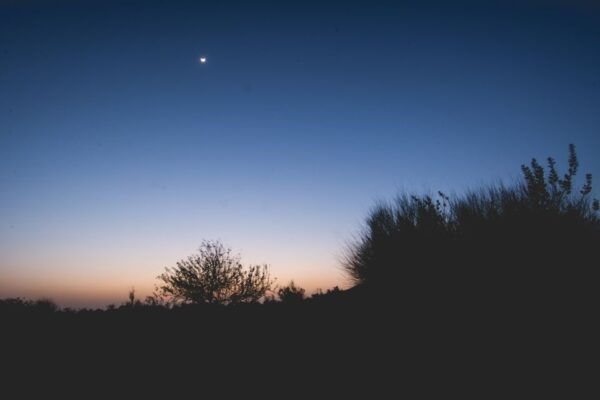 Jaisalmer: Romantic Night With Luxury Desert Camping - The Sum Up