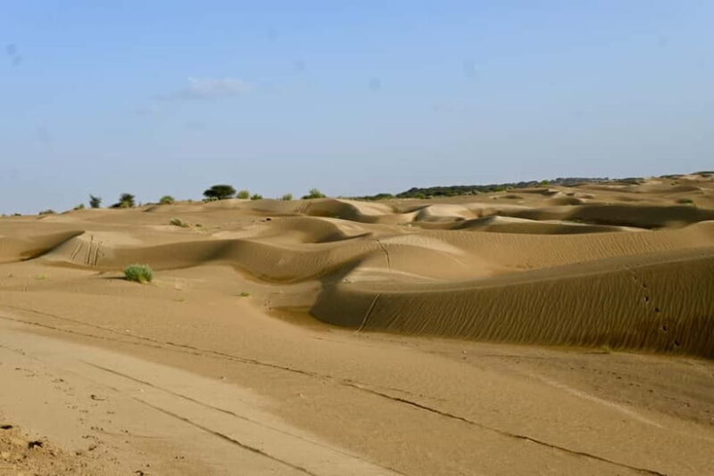Jaisalmer: Sam Sand Dunes Sunset Tour with Camel Ride - Good To Know