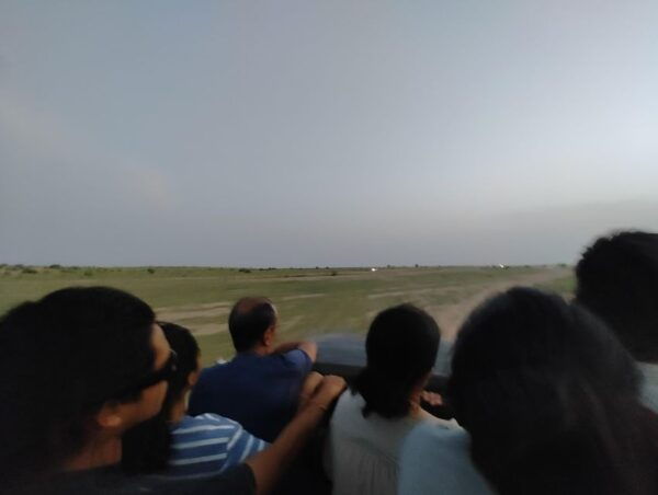 Jaisalmer Star Gazing With Telescope in Desert Private Tour - The Sum Up