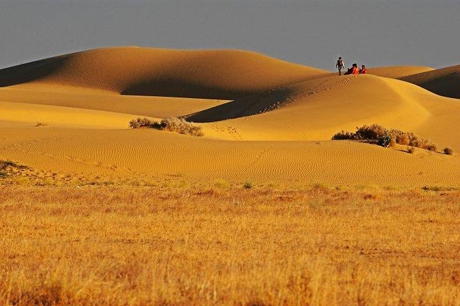 Jaisalmer Tour 3 Days / 2 Nights - Tour Inclusions