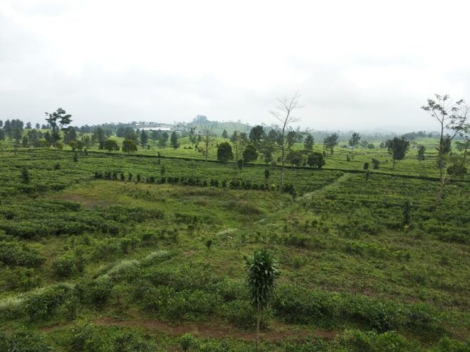 Jakarta: Active Volcano, Waterfall &Beautiful Local Village - Nature and Adventure