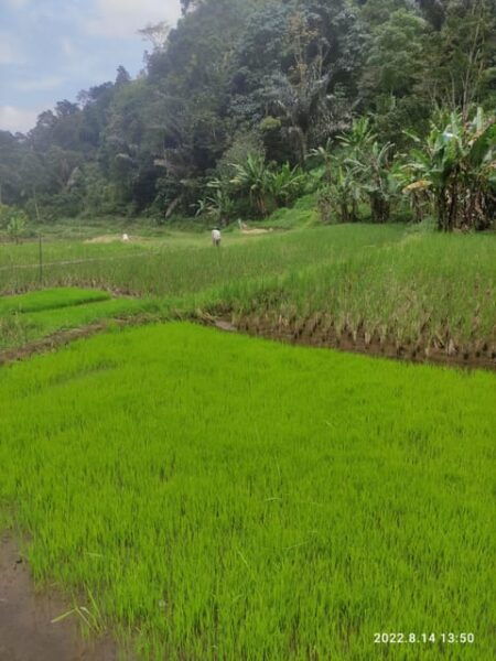 Jakarta: Active Volcano, Waterfall &Beautiful Local Village - Questions You May Have