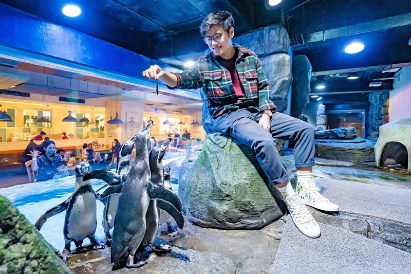 Jakarta AQuarium Safari - A compact aquarium with more than fish