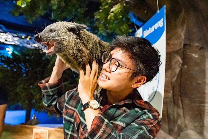 Jakarta AQuarium Safari - Make time for the penguin viewing and food