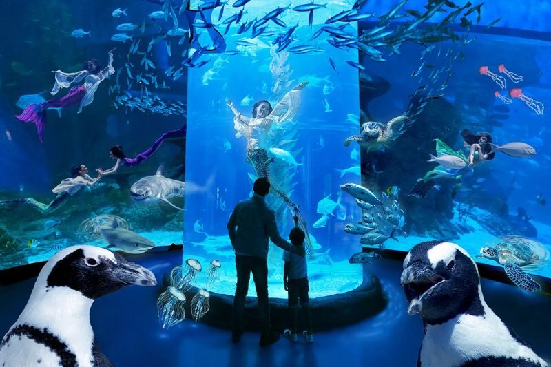 Jakarta AQuarium Safari - How long to allow