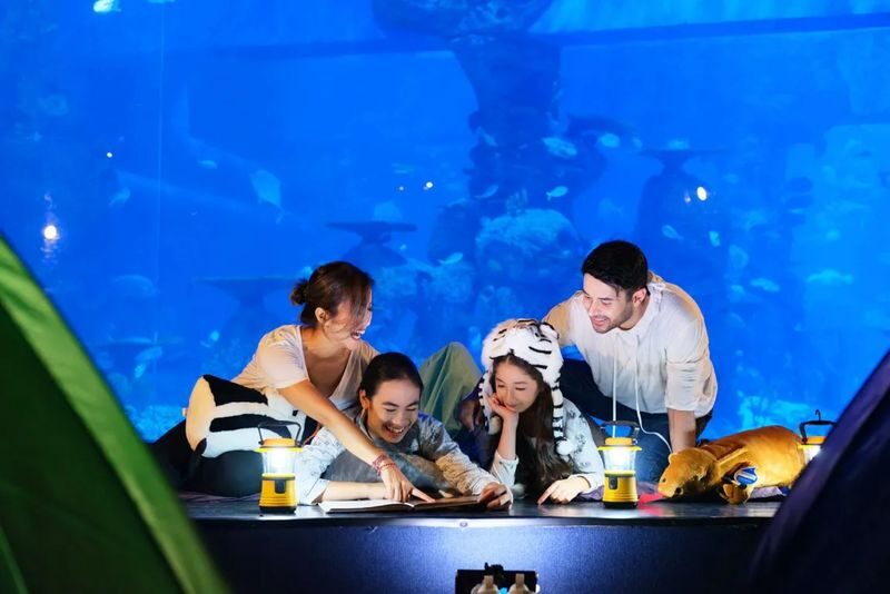 Jakarta AQuarium Safari - Getting there and using your ticket