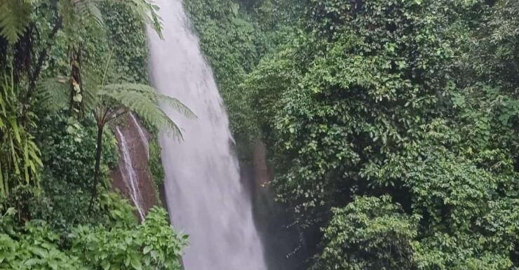 Jakarta Bogor Botanical Garden, Waterfall and Rice Terrace - Itinerary Highlights