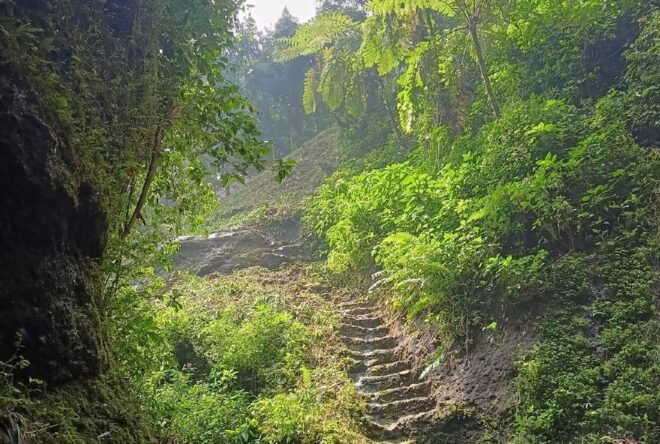 Jakarta Bogor Botanical Garden, Waterfall and Rice Terrace - Important Information and Recommendations