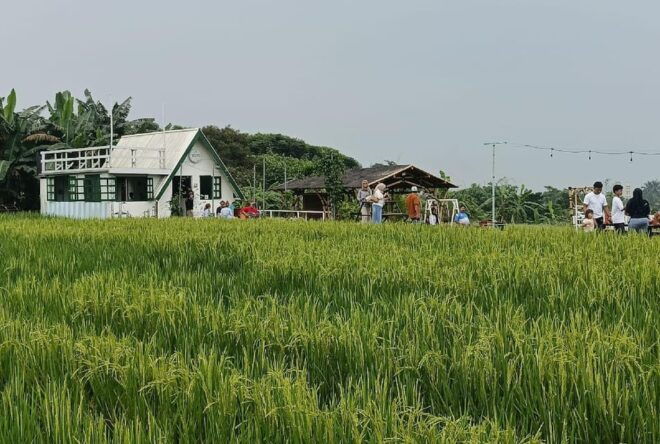 Jakarta Bogor Botanical Garden, Waterfall and Rice Terrace - Visiting the Botanical Garden
