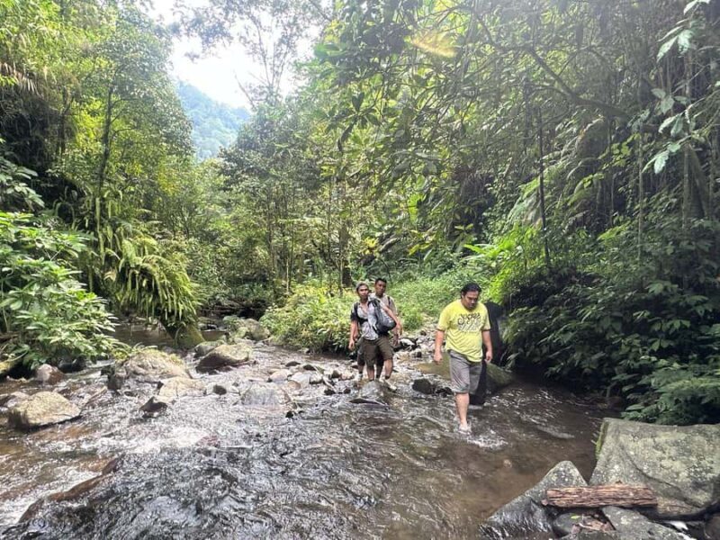 Jakarta: Botanical Garden & Rainforest Trekking to Waterfall - Exploring Jakarta’s Natural Treasures: Botanical Garden & Rainforest Waterfall Tour