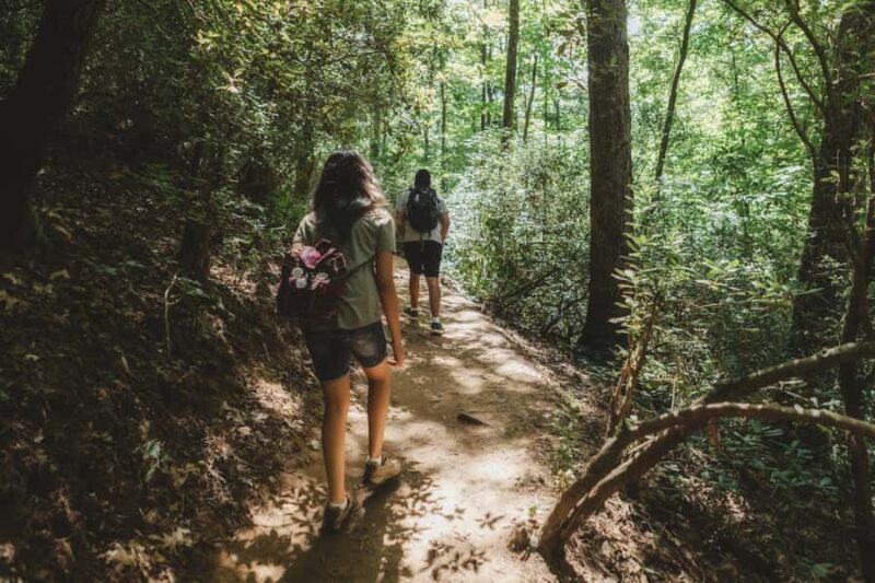 Jakarta: Botanical Garden & Rainforest Trekking to Waterfall - Practical Details & Tips