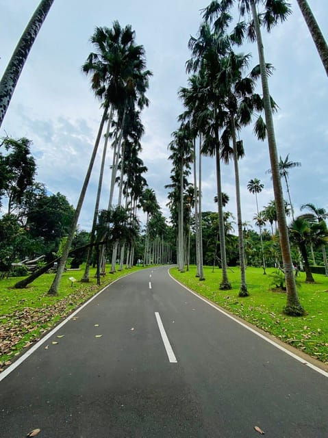 Jakarta: Botanical Garden, Waterfall, Village & Rice Field - Key Points