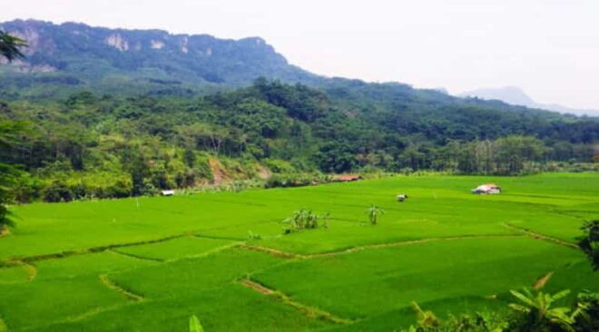 Jakarta: Botanical Garden, Waterfall, Village & Rice Field - Taking in Local Village Life