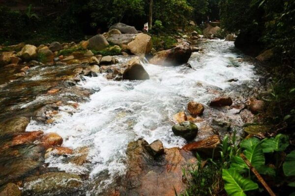 Jakarta: Botanical Garden, Waterfall, Village & Rice Field - Enjoying Traditional Indonesian Cuisine