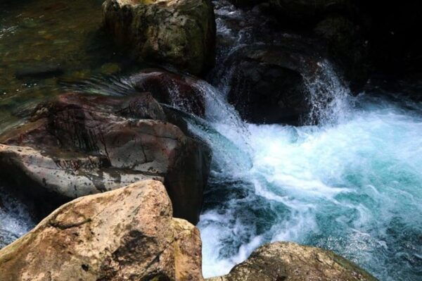 Jakarta: Botanical Garden, Waterfall, Village & Rice Field - Customer Experiences and Reviews