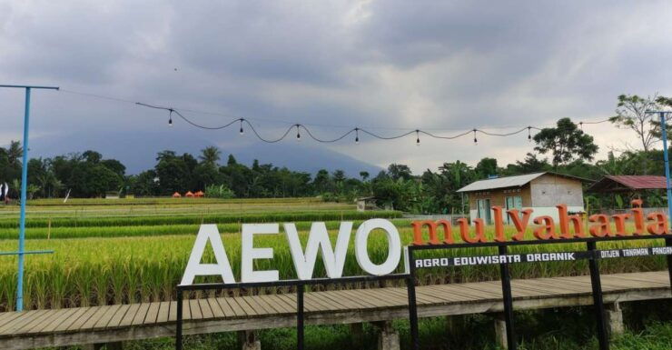Jakarta : Botanical Garden, Waterfalls, and Rice Fields Tour - Botanical Garden Exploration