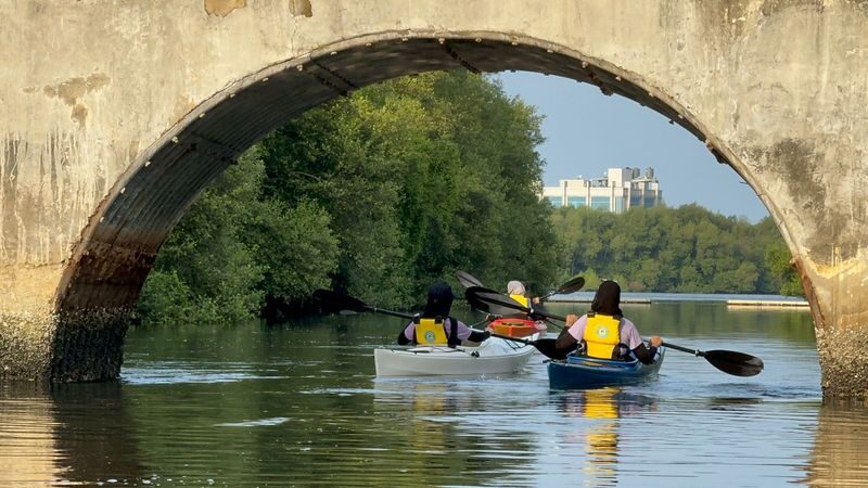 Jakarta Canoeing Mangrove Experience - What to know before you go