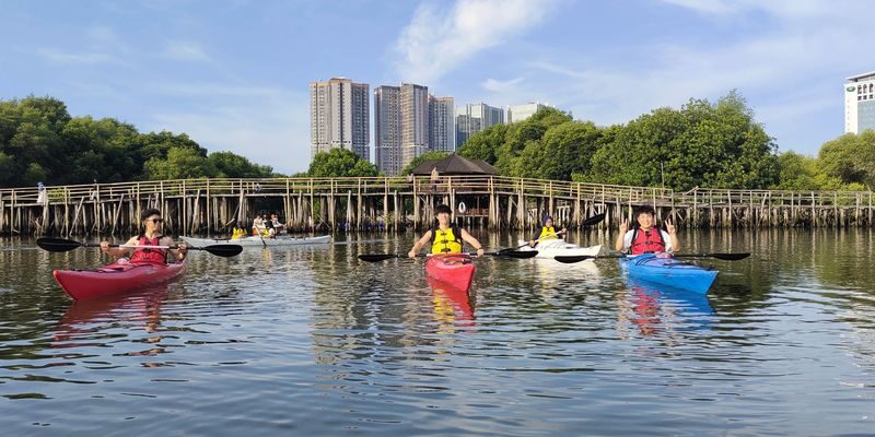 Jakarta Canoeing Mangrove Experience - Two hours among mangrove channels
