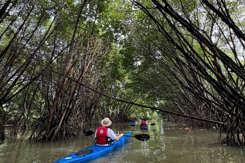 Jakarta Canoeing Mangrove Experience - Morning, evening, or canoeing with a massage