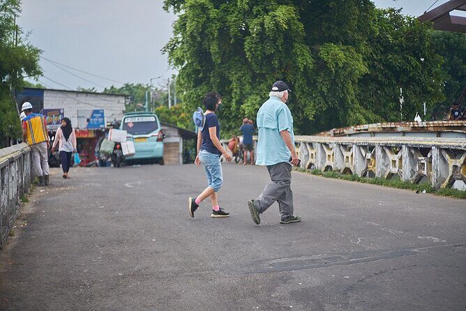 Jakarta City Tour Cultural Immersion Herbal Drinks & Hidden Gems - Who Is This Tour Best For?