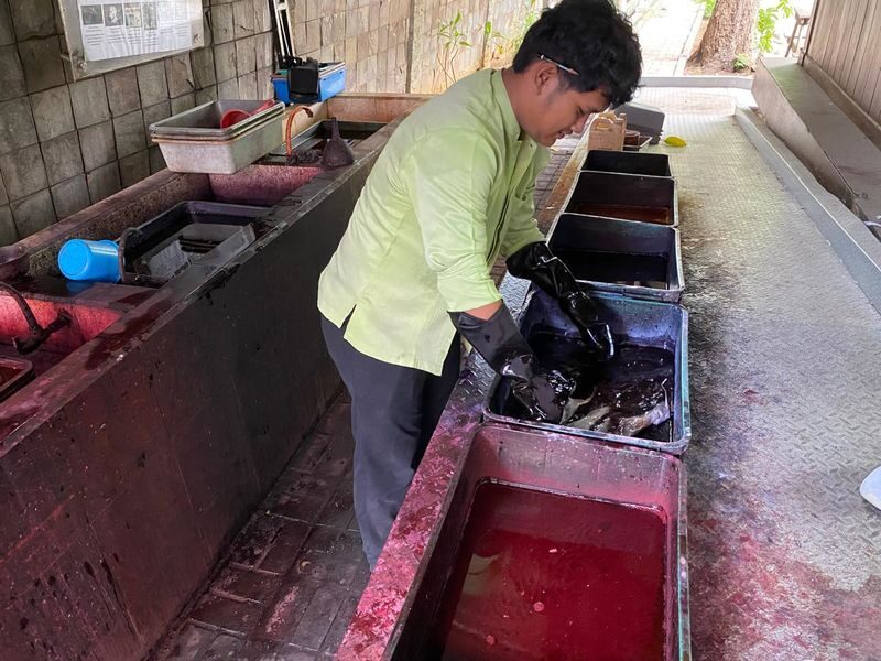 Jakarta City Tour with Batik Workshop - Who should choose this tour?