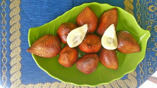 Jakarta: Gunung Volcano, Luwak Coffee Animal, Hot Spring - Experiences and Activities