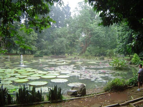 Jakarta Holiday Package City Tour 3D2N - Tour Inclusions