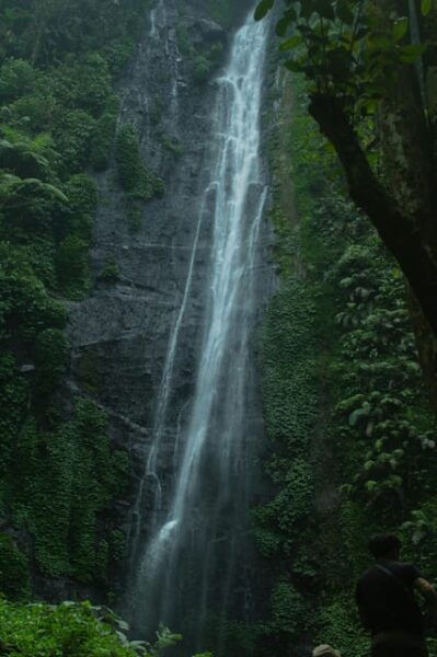 Jakarta Holiday Package City Tour 3D2N - Experience and Services