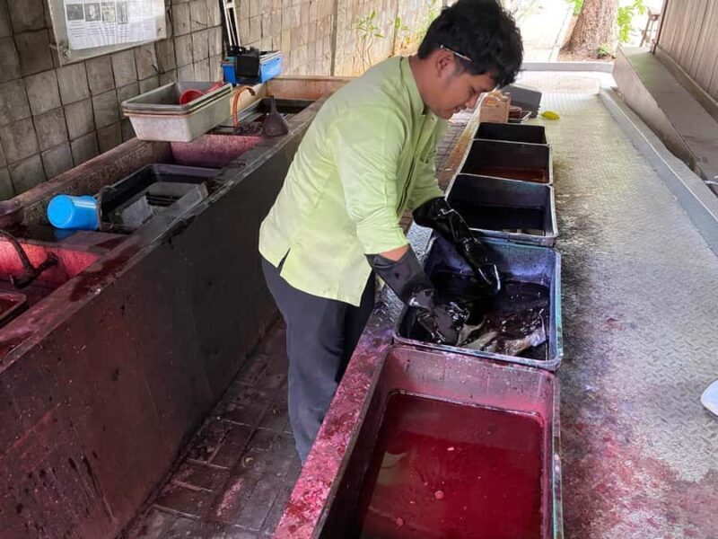 Jakarta Old Town Tour with Batik Workshop - Introduction: A Unique Blend of History and Culture