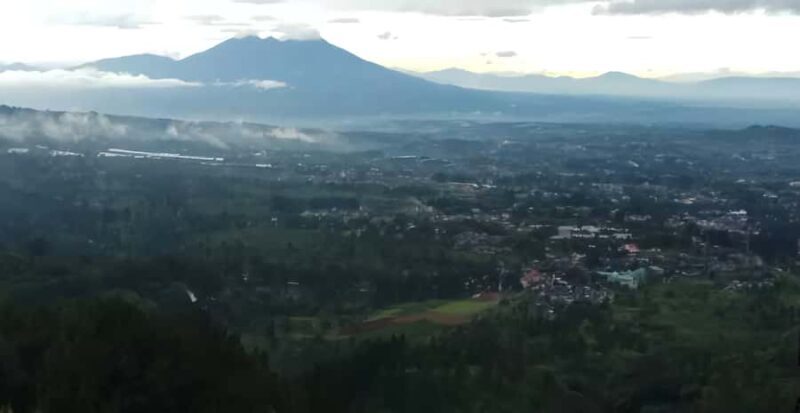 Jakarta: Paragliding on Top Mountain & Tea Plantation - What You Can Expect from This Tour