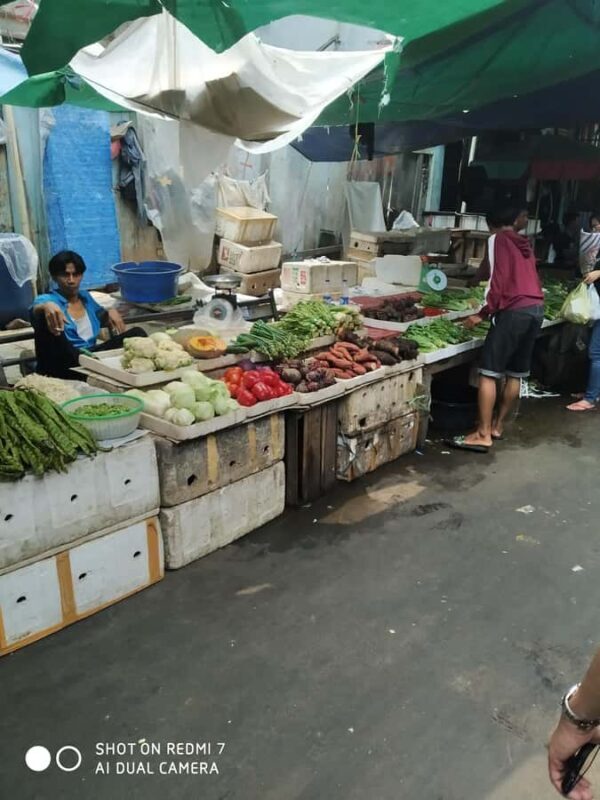 Jakarta: Private Full-Day Guided Tour Highlight of Jakarta - Final Remarks