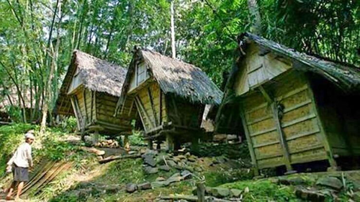 Jakarta : Private Tour Baduy Primitive Village - Activity Details