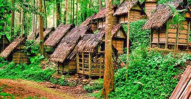 Jakarta : Private Tour Baduy Primitive Village - Highlights of the Baduy Tribe