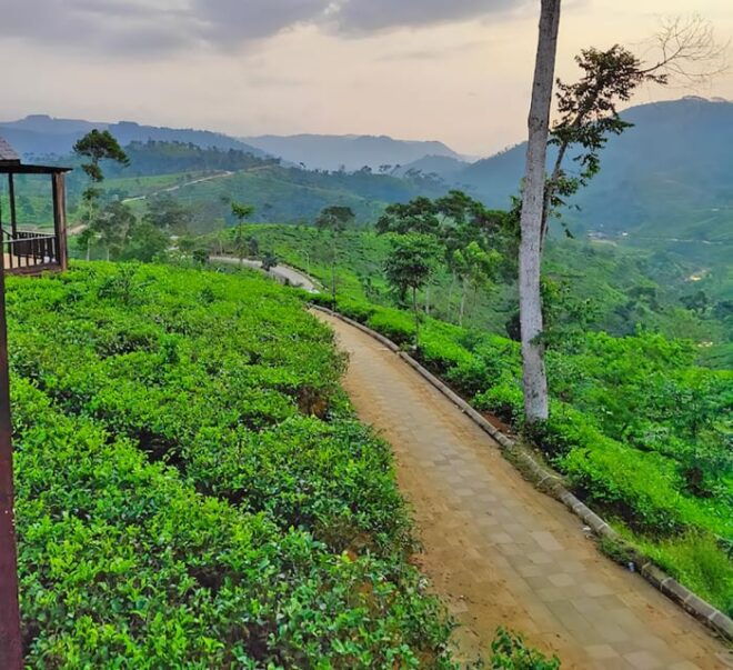 Jakarta Private Tour: Gunung Padang Site - Tour Inclusions and Amenities