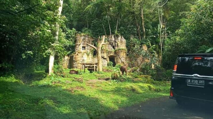 Jakarta Private Tour Safari Park, Tea Plants & Waterfall - Safari Park Highlights