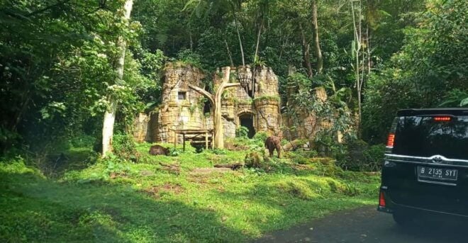 Jakarta Private Tour Safari Park, Tea Plants & Waterfall - Itinerary Breakdown