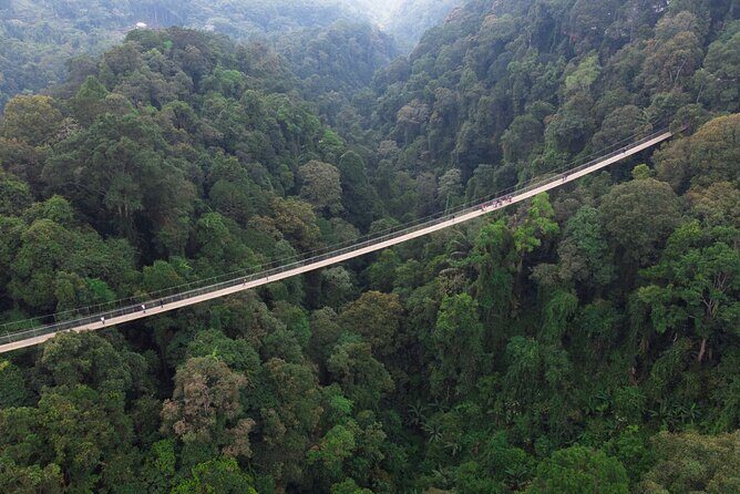 Jakarta Rainforest Hiking to Hidden Waterfall & Suspension Bridge - Practical Tips for Your Rainforest Adventure