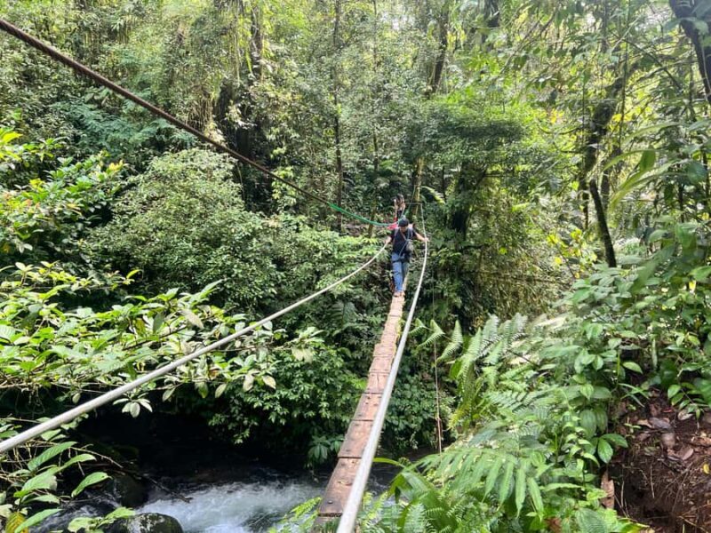 Jakarta: Rainforest Hiking to Waterfall & Suspension Bridge - Final Thoughts