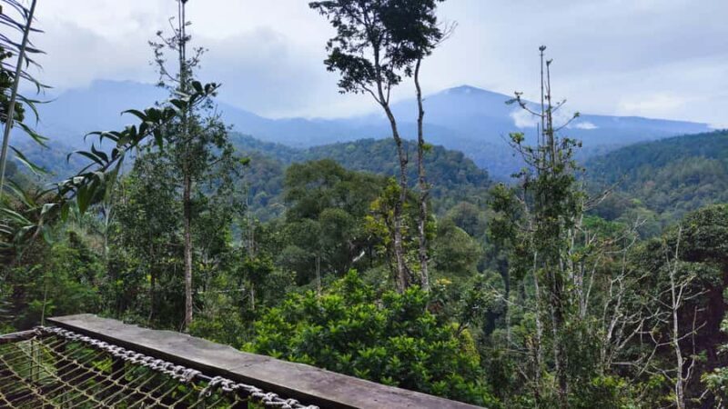 Jakarta: Rainforest Hiking to Waterfall & Suspension Bridge - Good To Know