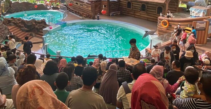 Jakarta: Safari Park Show, Tea Plantation & Waterfall - Safari Park Exploration