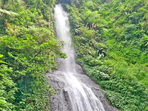 Jakarta: Safari Park Show, Tea Plantation & Waterfall - Booking and Cancellation Policy