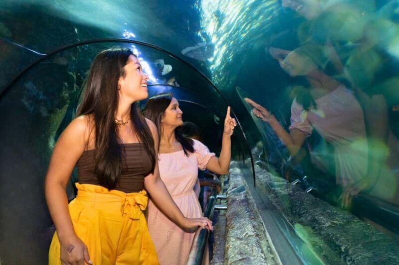 Jakarta: Sea World, Dunia Fantasi, and Ancol Dreamland Tour - Good To Know