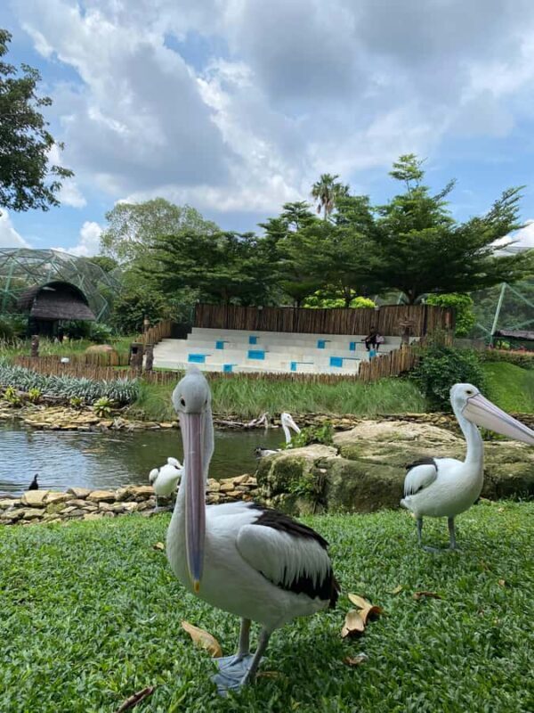 Jakarta: Setu Babakan and Taman Mini Indonesia Indah Tour - Exploring Jakarta’s Cultural Heritage: Setu Babakan and Taman Mini Indonesia Indah