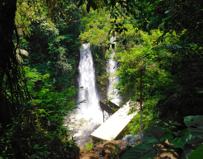 Jakarta: Tangkuban Perahu Volcano & Tea Plantations Day-Tour - Highlights of the Tour