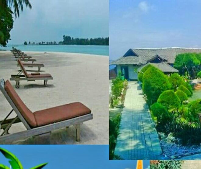 Jakarta: Thousand Island Tour With Canoeing and Snorkeling - Transportation Details