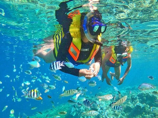 Jakarta: Thousand Island Tour With Canoeing and Snorkeling - Customer Experiences and Ratings