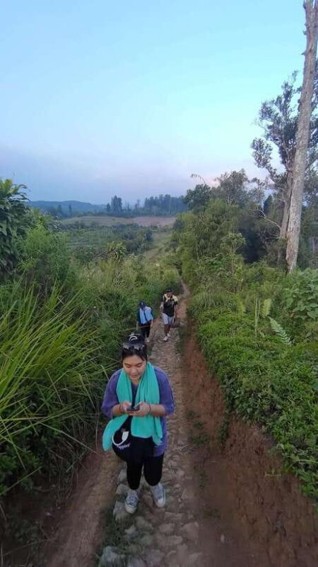 Jakarta to Bogor: Luhur Waterfall and Lake Lido Day Trip - Detailed Review of the Tour